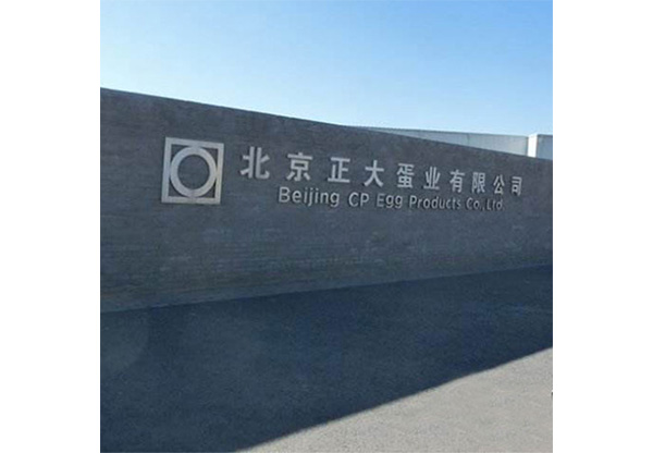 正大集团蛋业
